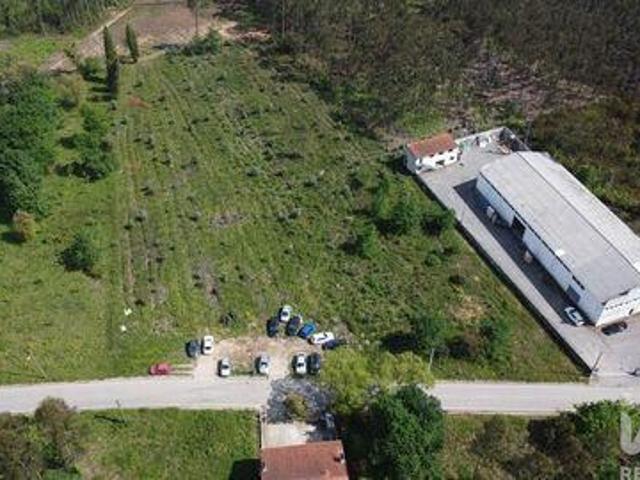 Terreno venda em Anadia, Aveiro