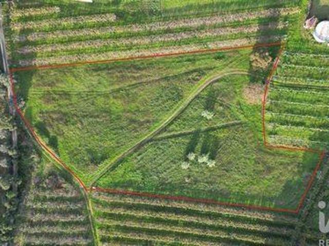 Terreno venda em Anadia, Aveiro