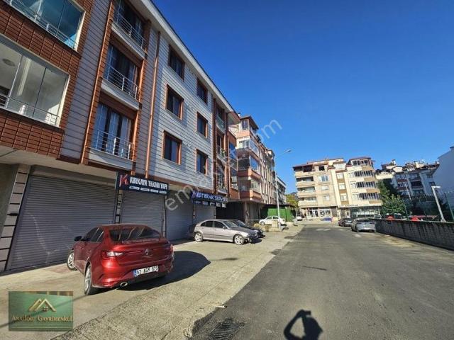 Ordu içerisinde kiralık mülk