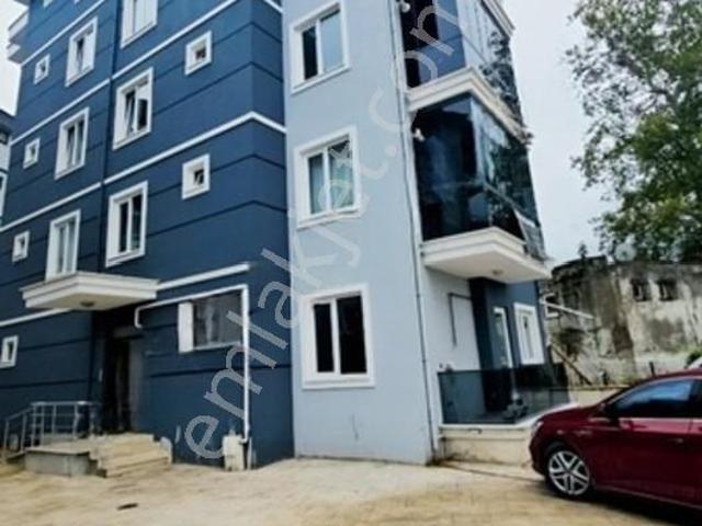 Ordu içerisinde kiralık mülk