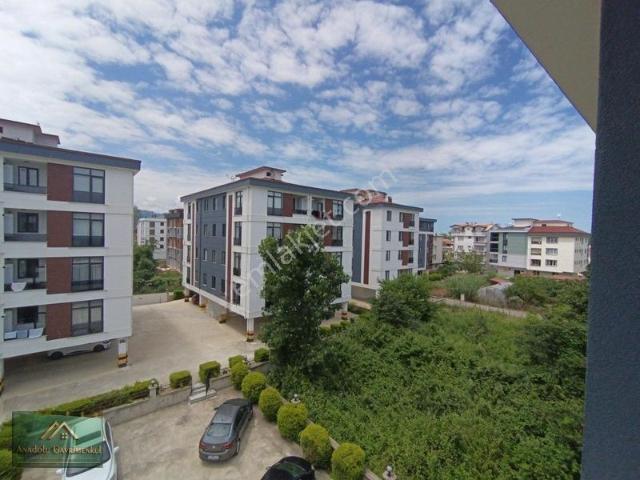 Ordu içerisinde kiralık mülk