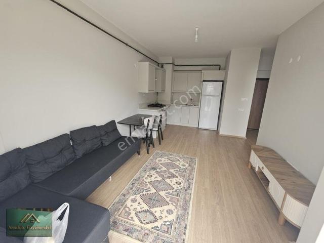 Ordu içerisinde kiralık mülk