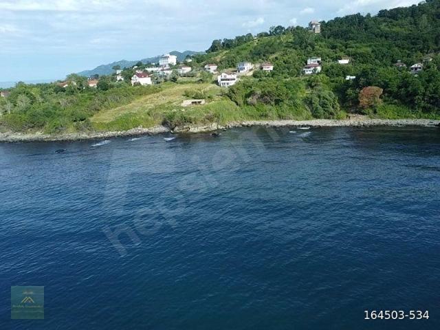 Ordu içerisinde satılık mülk