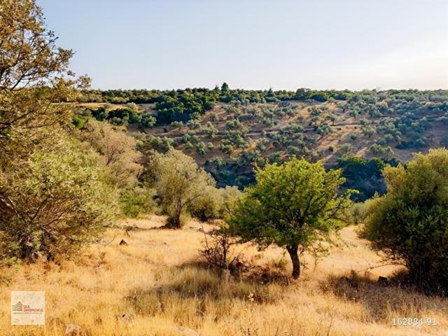 Ezine, Çanakkale içerisinde satılık mülk