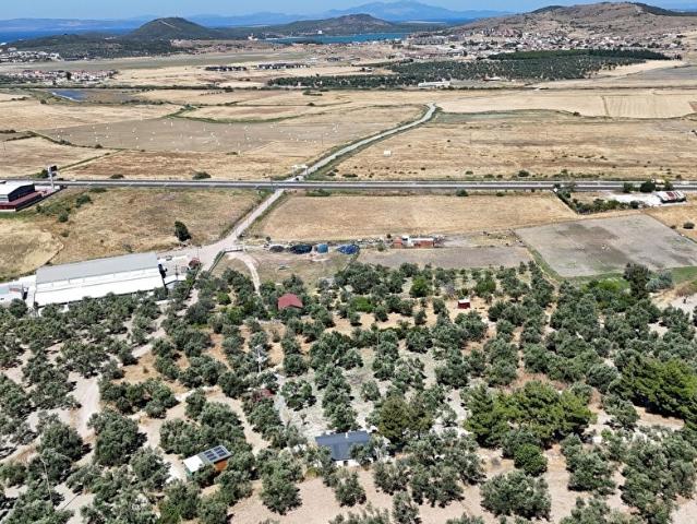 Ayvalik, Balikesir içerisinde satılık mülk