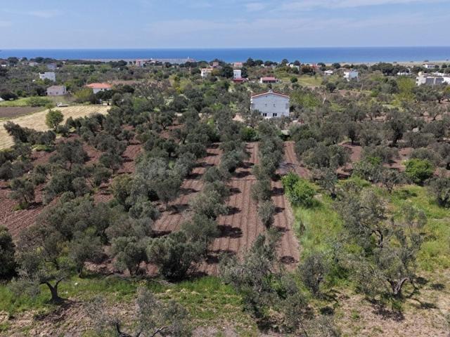 Ayvacık, Ayvacik içerisinde satılık Arsa