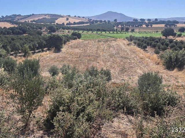Ayvacik, Çanakkale içerisinde satılık Arsa