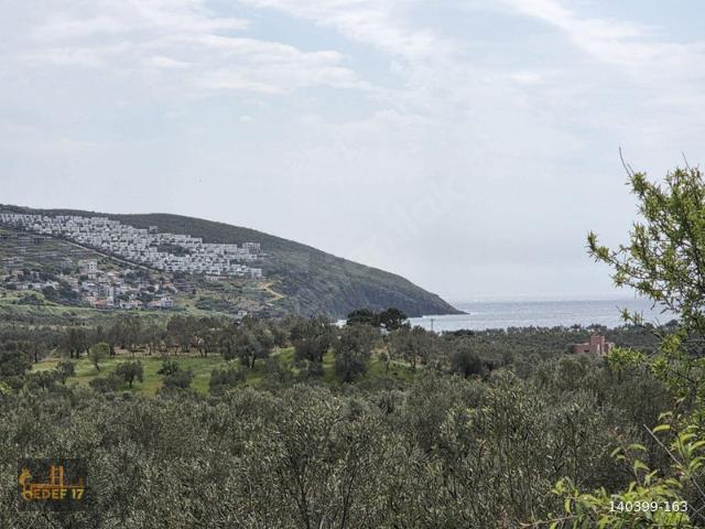 Gülpınar, Ayvacık içerisinde satılık mülk
