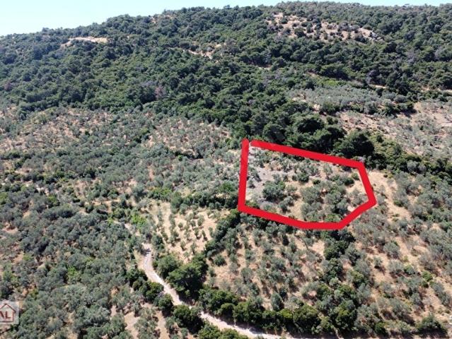 Ayvacik, Çanakkale içerisinde satılık Arsa