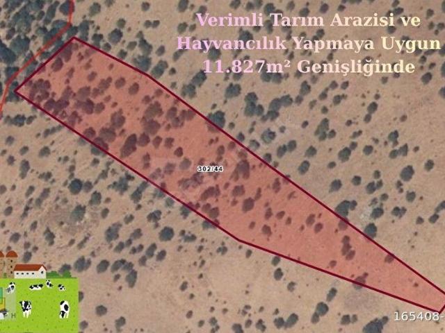 Babadere, Ayvacık içerisinde satılık Arsa
