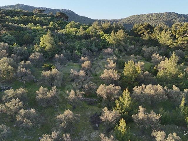 Kozlu, Ayvacık içerisinde satılık mülk