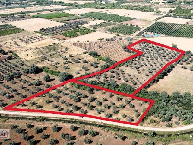 Bayramiç, Çanakkale içerisinde satılık Arsa