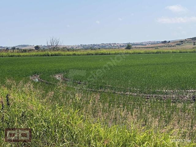Kahvetepe, Biga içerisinde satılık Arsa