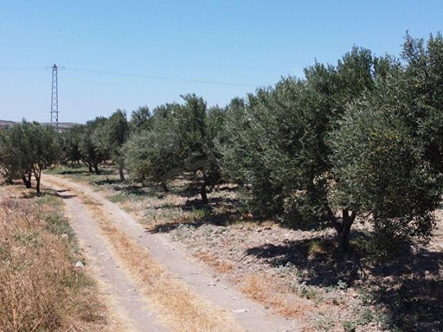 Bozcaada içerisinde satılık Arsa