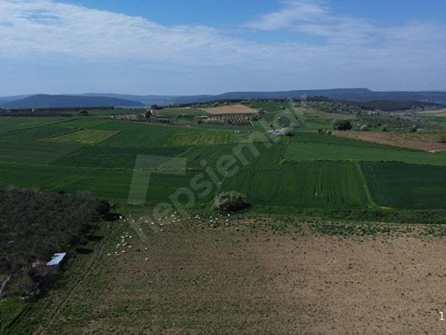 Esenler Mahallesi, Çanakkale Merkez içerisinde satılık Arsa