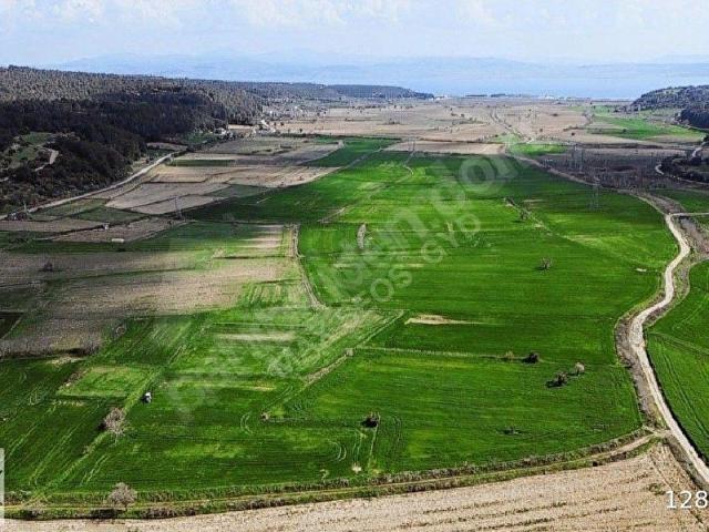 Yalova, Eceabat içerisinde satılık Arsa