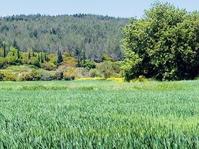 Büyükanafarta Köyü, Eceabat içerisinde satılık Arsa