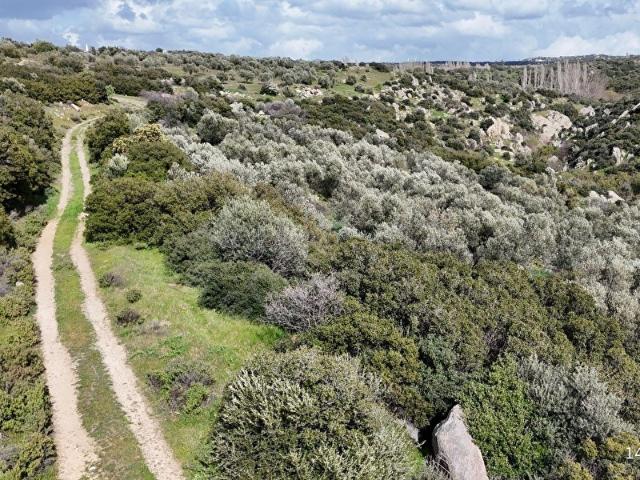Alemşah, Ezine içerisinde satılık mülk