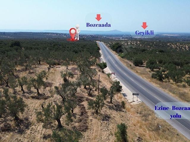 Gökçebayır, Ezine içerisinde satılık mülk