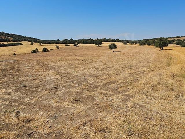 Kemallı, Ezine içerisinde satılık Arsa
