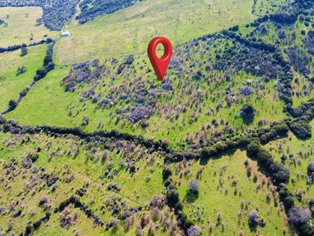 Şapköy, Ezine içerisinde satılık Arsa