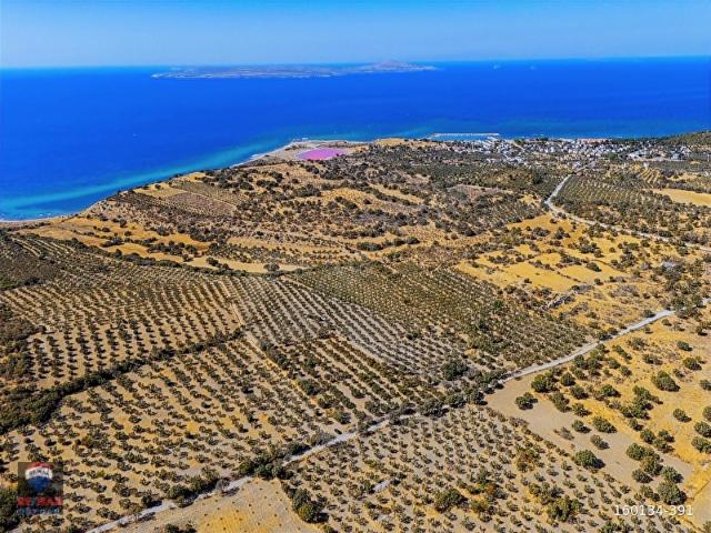 Dalyan, Ezine içerisinde satılık mülk