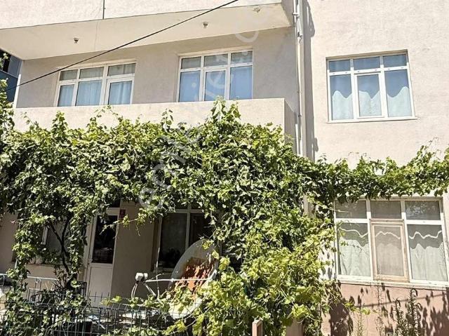 Camikebir Mahallesi, Ezine içerisinde kiralık mülk
