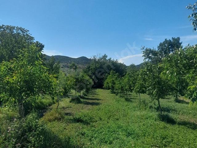 Değirmendüzü, Gelibolu içerisinde satılık mülk