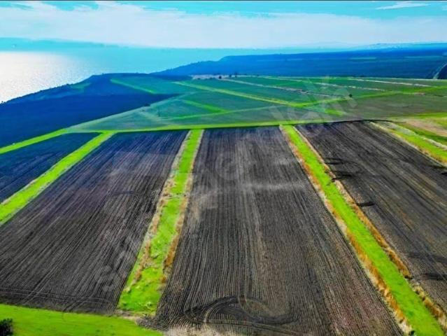 Gelibolu, Çanakkale içerisinde satılık mülk