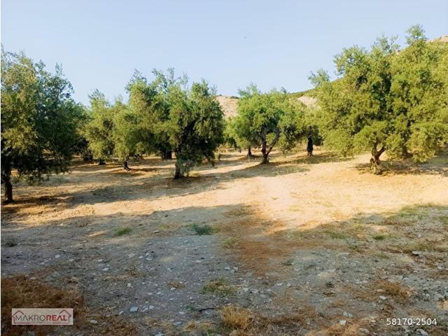 Karainebeyli, Gelibolu içerisinde satılık Arsa