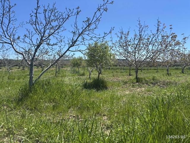 Erenköy, Çanakkale Merkez içerisinde satılık Arsa