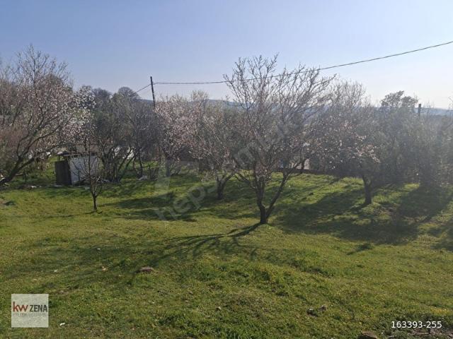 Bayramiç, Çanakkale içerisinde satılık Arsa