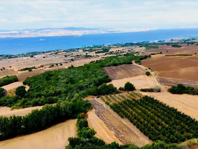Suluca, Lapseki içerisinde satılık Arsa