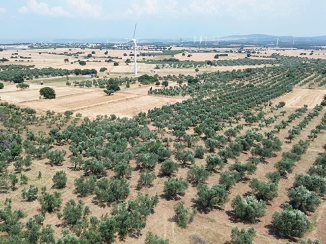 Kumburun, Ezine içerisinde satılık Arsa