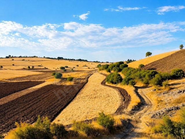 Şahinli, Lapseki içerisinde satılık Arsa