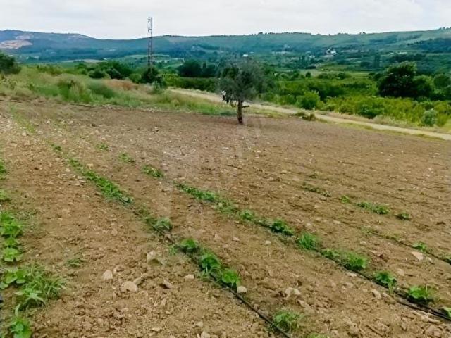 Lapseki, Çanakkale içerisinde satılık Arsa