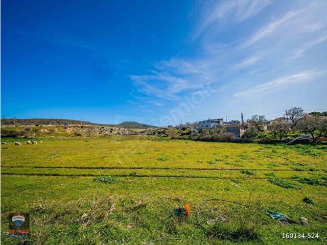 Ezine, Çanakkale içerisinde satılık Arsa