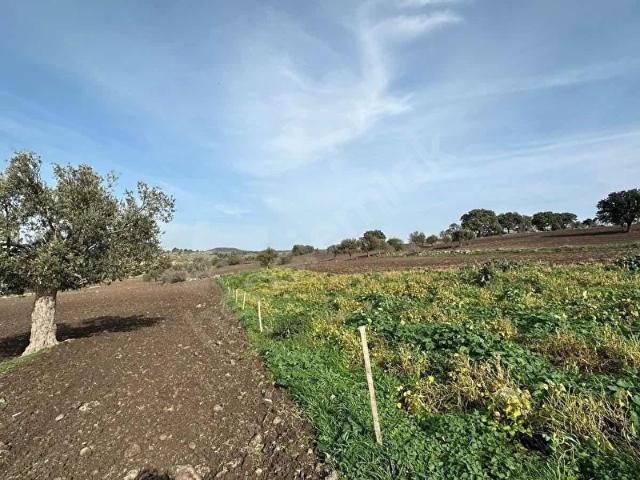 Akçapınar, Çanakkale Merkez içerisinde satılık Arsa
