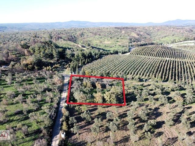 Bayramiç, Çanakkale içerisinde satılık Arsa