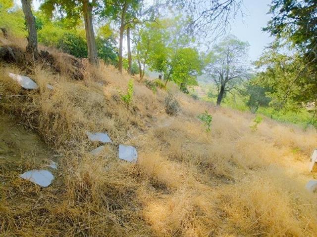 Çiftlikdere, Çanakkale Merkez içerisinde satılık Arsa