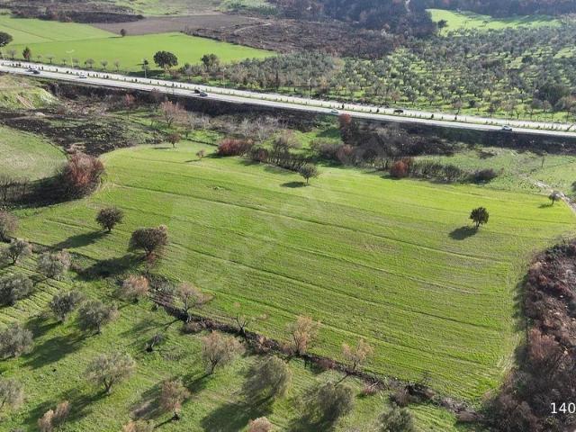 Çınarlı Köyü - Dardanos Mevkii, Çanakkale Merkez içerisinde satılık Arsa