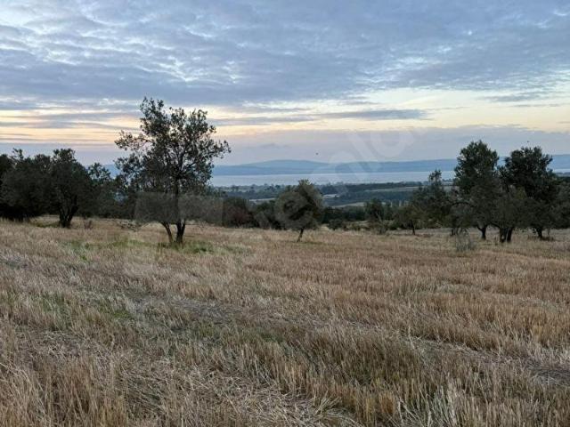 Musaköy, Çanakkale Merkez içerisinde satılık Arsa