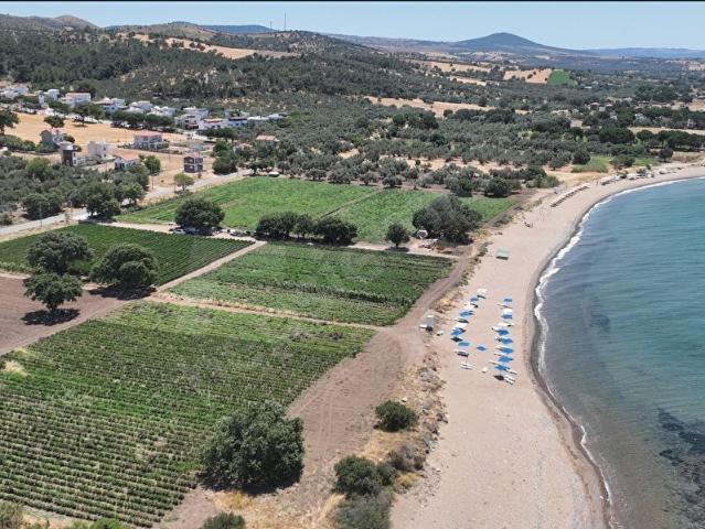 Ezine, Çanakkale içerisinde satılık Arsa