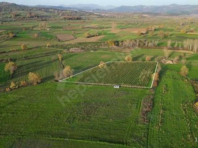 Yenice, Çanakkale içerisinde satılık Arsa