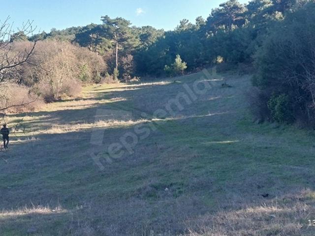 Sapanca, Ayvacık içerisinde satılık Arsa