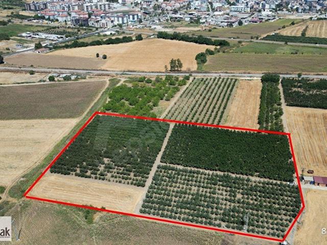Çınarlı Köyü, Çanakkale Merkez içerisinde satılık Arsa