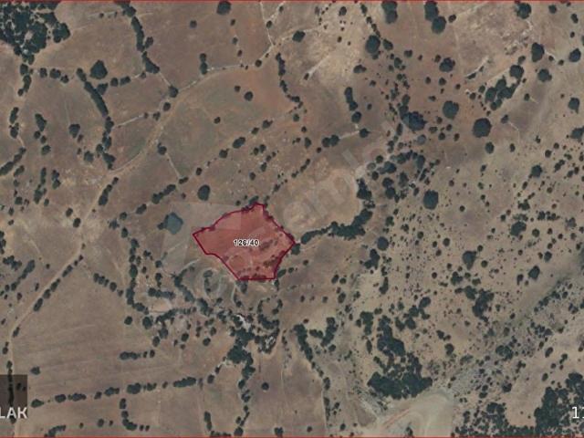 Ağlasun, Burdur içerisinde satılık Arsa