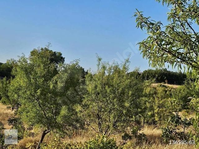 Bozyazi, Mersin içerisinde satılık mülk
