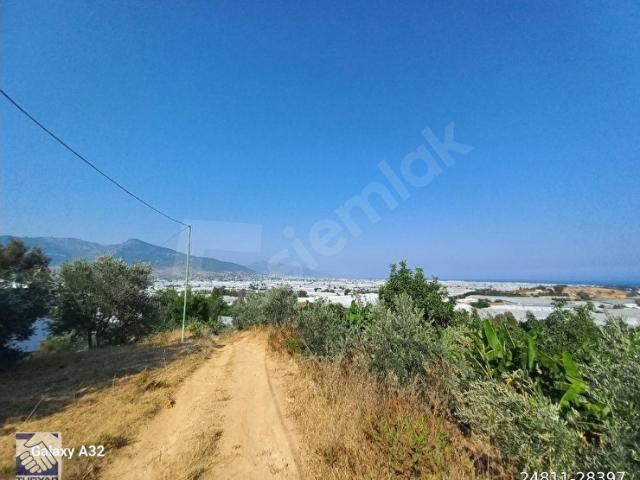 Kızılaliler, Anamur içerisinde satılık Arsa