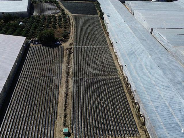 Alataş, Anamur içerisinde satılık Arsa
